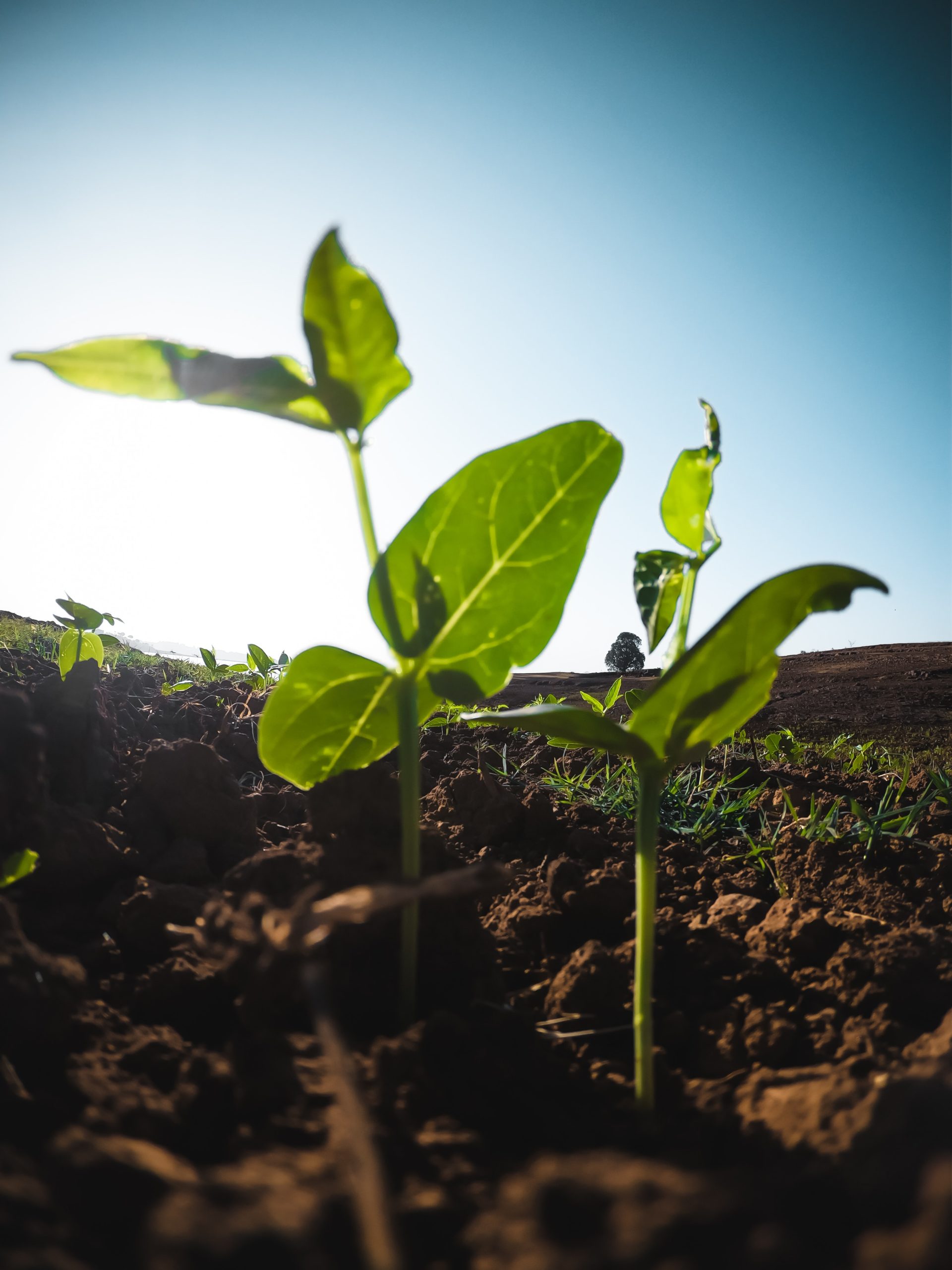 Environmental Policy Statement